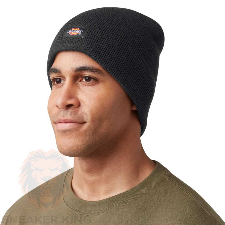Шапка Dickies  Knit Insulated Beanie  black WH202 BK